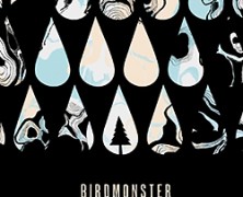 Birdmonster: Born to Be Your Man