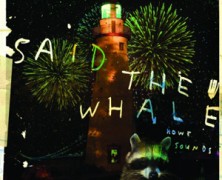 Said the Whale: This City’s a Mess