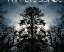 The Winter Sounds: Trophy Wife (+ Album Review)