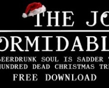 The Joy Formidable: My Beerdrunk soul is sadder than a hundred dead Christmas trees