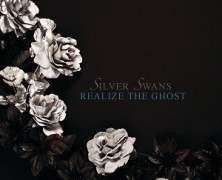 Silver Swans: Are You Really On My Side