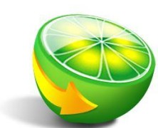 LimeWire: The Hammer Finally Drops