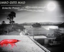 Dumbo Gets Mad: Eclectic Prawn