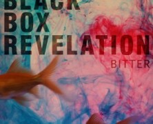 Black Box Revelation: Bitter