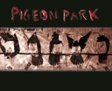 Pigeon Park: Lovelight
