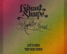 Edward Sharpe and the Magnetic Zeros: Life Is Hard (Teen Daze Remix)