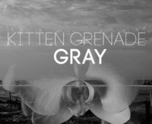 Kitten Grenade: Gray