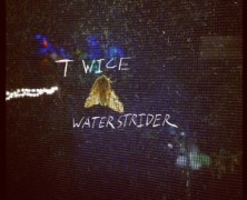 Waterstrider: Twice