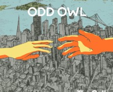 Odd Owl: New Americans