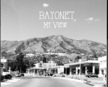 Bayonet: My View