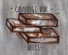 Cambridge Park: First Light