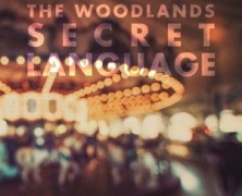 The Woodlands: Carousel