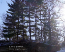 Tree Machines: Late Snow
