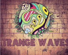 Strange Waves: 38th Parallel