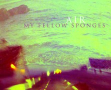 My Fellow Sponges: Air