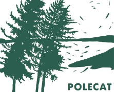 Polecat: In The Cold