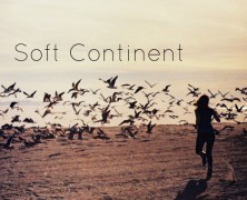 Soft Continent: Scars