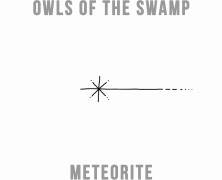 Owls of the Swamp: Meteorite