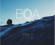 BOA: Steal It