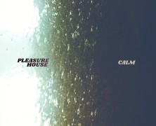 Pleasure House: Calm