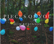Dom Robinson: Pieces Of You