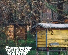 Gaffa Tape Sandy: Beehive