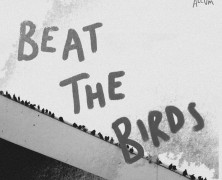 Annabel Allum: Beat the Birds