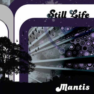 Mantis - Still Life