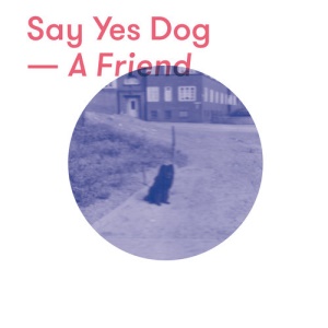 Say Yes Dog