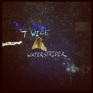 Waterstrider